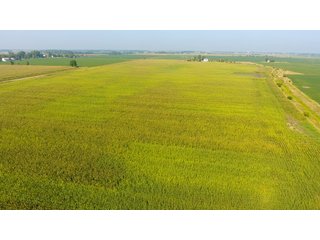 Property photo 11 - LAND AUCTION - 359+/- ACRES IN 2 FARMS IN EAST ALLEN CO., INDIANA & PAULDING CO., OHIO